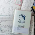 1st-Trimester-Schwangerschaft